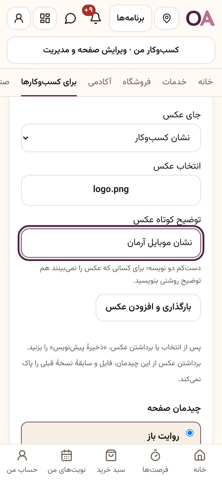 صفحهٔ کسبوکار (سایت): ظاهر: عکس، چیدمان و رنگ